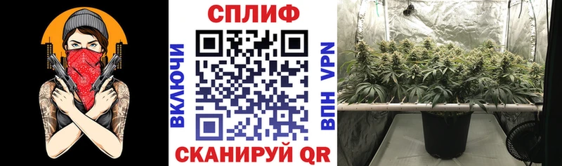 А ПВП Родники