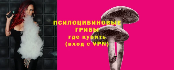 дмт Балахна