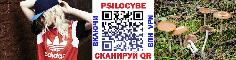 Псилоцибиновые грибы Cubensis Родники